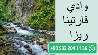 وادي فارتينا ريزا